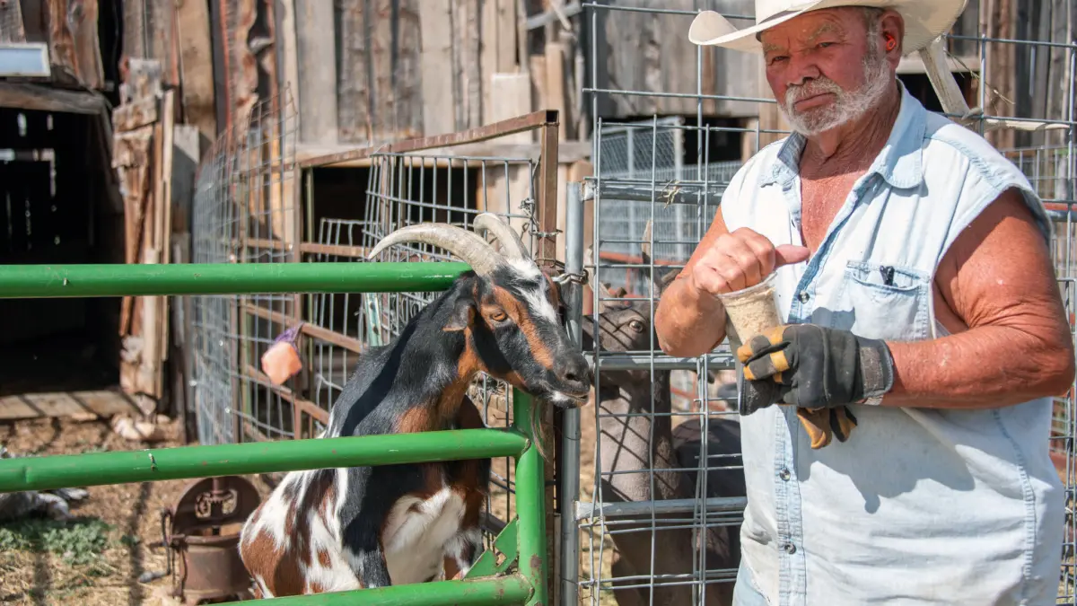 Sparky O’Driscoll RunDown Ranch