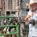 Sparky O’Driscoll RunDown Ranch
