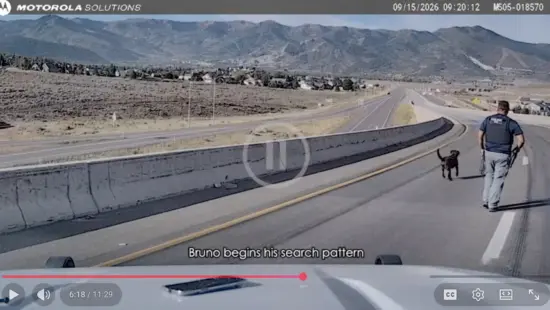 K9 Bruno begins his off-leash search on the U.S. 40 flyover ramp moments before jumping over the concrete barrier, in a still from dash camera footage released Wednesday.