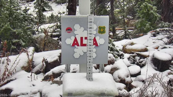 Collin Snow Stake, Alta Oct 12, 2026