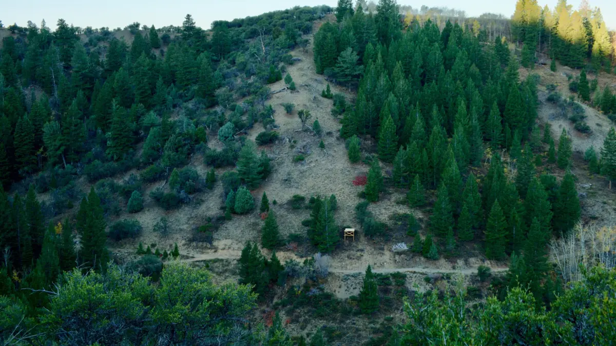 A road gap constructed by Oldham at Moose Springs Ranch.