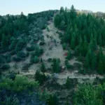 A road gap constructed by Oldham at Moose Springs Ranch.