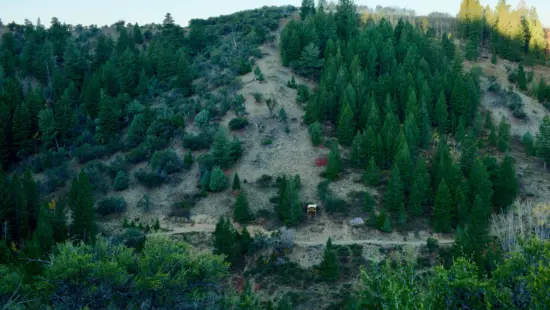 A road gap constructed by Oldham at Moose Springs Ranch.
