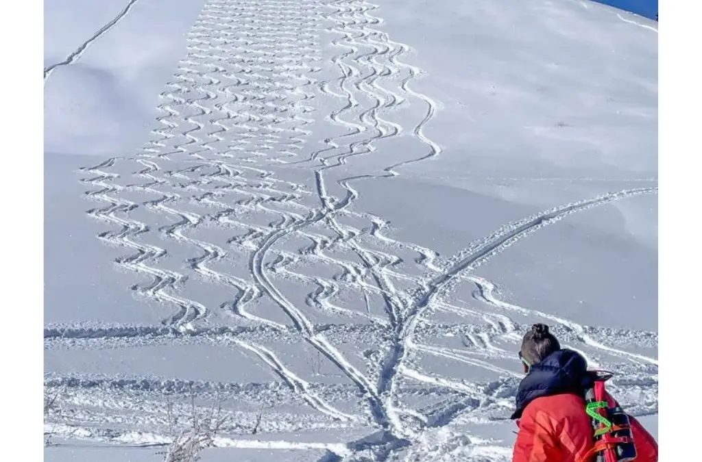The Utah Avalanche Center, Powder Buoy and Park City Brewing will host the 2026 Powder Buoy Powder Party on Oct. 28 in Park City, featuring live music, food and a silent auction in support of avalanche safety programs.