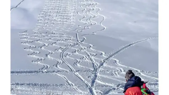 The Utah Avalanche Center, Powder Buoy and Park City Brewing will host the 2026 Powder Buoy Powder Party on Oct. 28 in Park City, featuring live music, food and a silent auction in support of avalanche safety programs.