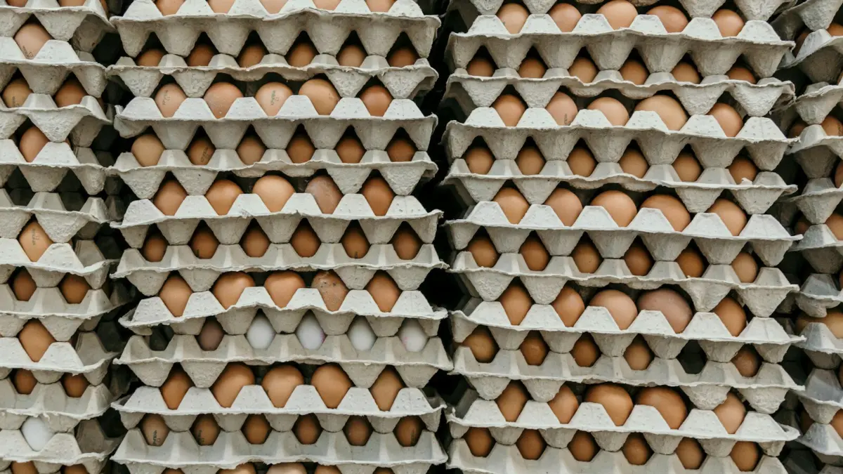Utah will receive over 1.5 million eggs in price-fixing settlement.