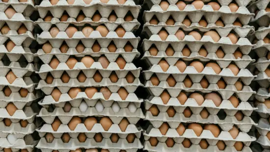 Utah will receive over 1.5 million eggs in price-fixing settlement.