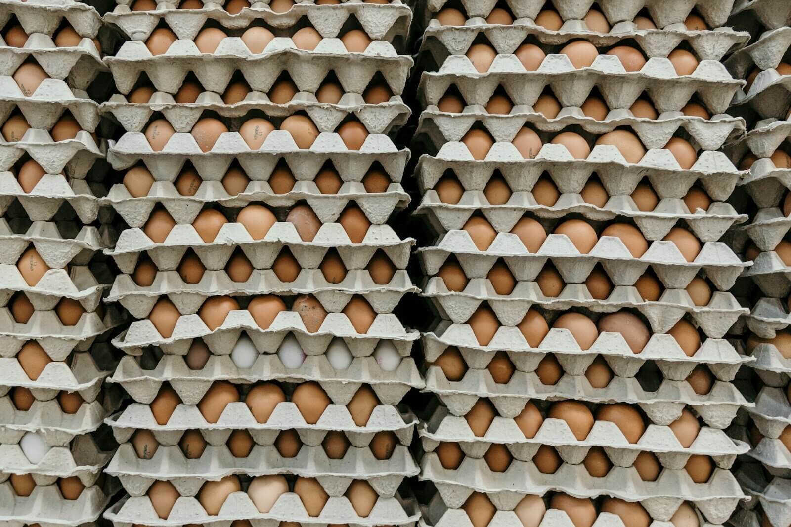 Utah settlement sends 1.5 million eggs to food pantries statewide