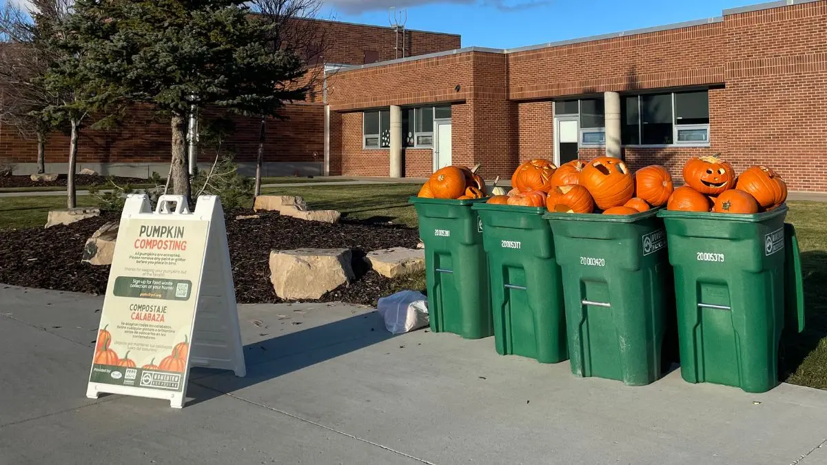 Pumpkin composting bins outside a Park City school.