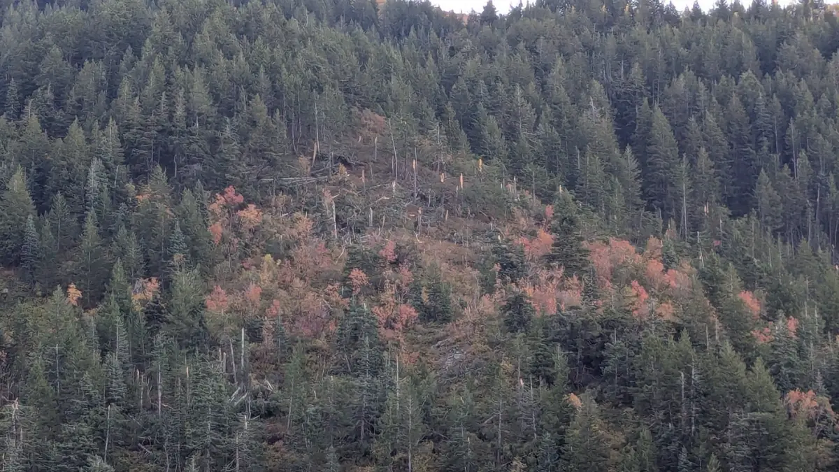 Damage from the Francis Peak tornado that touched down in Utah on Sept. 18.