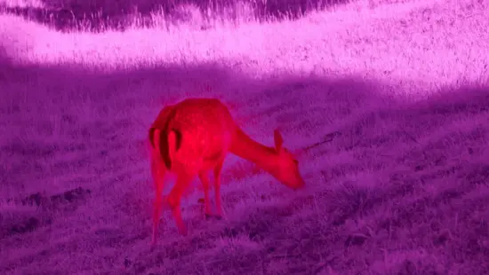 Night vision and thermal imaging are prohibited during Utah hunts.
